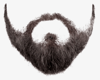 Download Beard And Images - Transparent Background Beard Png, Png Download, Transparent PNG
