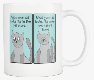 What Your Cat Looks Like - Coffee Cup, HD Png Download, Transparent PNG