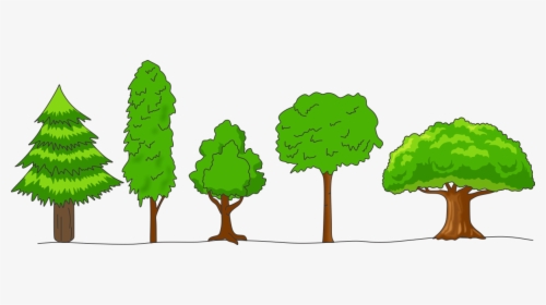 Crown Of Trees, HD Png Download, Transparent PNG