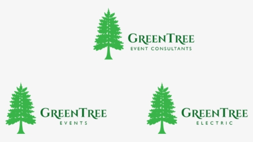 Logo Design By Saulogchito For This Project - Christmas Tree, HD Png Download, Transparent PNG