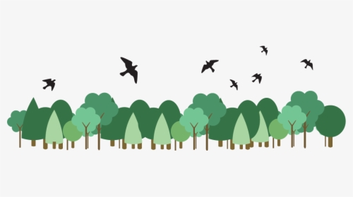 Transparent Tree From Above Png - Birds Above The Tree, Png Download, Transparent PNG