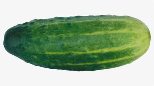 Cucumber Png Image, Transparent Png, Transparent PNG