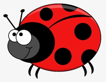 Beetle - Cartoon Ladybug, HD Png Download, Transparent PNG