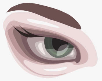 Brown Eyes Clipart Large Eye - Illustration, HD Png Download, Transparent PNG