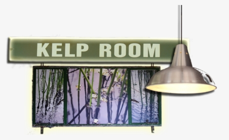 Kelp Room Title - Billboard, HD Png Download, Transparent PNG
