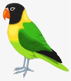 Pet Bird Clipart, HD Png Download, Transparent PNG
