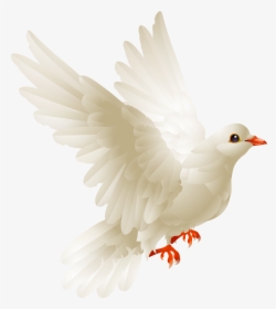 Flying Love Birds , Png Download - Imágenes De Palomas Mensajeras, Transparent Png, Transparent PNG