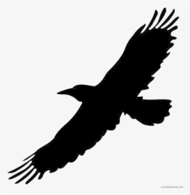 Clip Art Crow Bird Image Portable Network Graphics - Flying Black Bird Png, Transparent Png, Transparent PNG