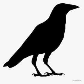 Crow Clipart Silhouette - Outline Images Of Crow, HD Png Download, Transparent PNG