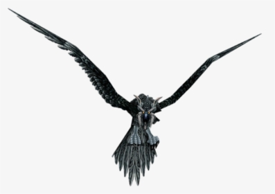 World Of Warcraft Wiki - Wow Druid Storm Crow, HD Png Download, Transparent PNG