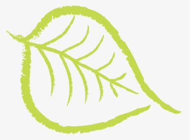 Nuts Drawing Cashew - Bodhi Tree Leaf Png, Transparent Png, Transparent PNG