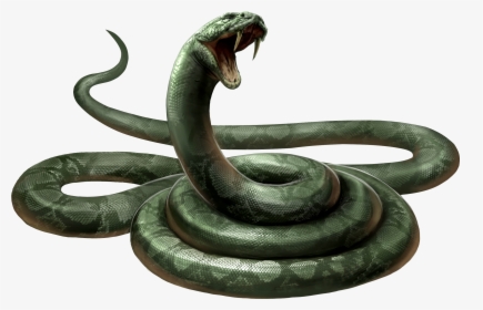Snake Png Png Download Nagini Harry Potter - Nagini Harry Potter, Transparent Png, Transparent PNG