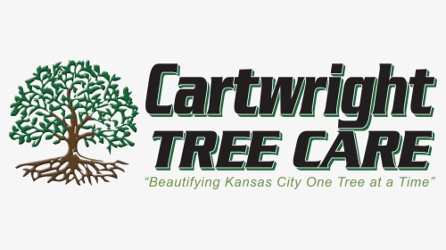 Tree, HD Png Download, Transparent PNG