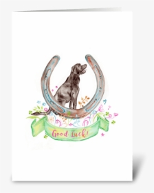 Good Luck Greeting Card - Boykin Spaniel, HD Png Download, Transparent PNG