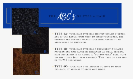 Abcs Of Hair Type 4-05 - Calligraphy, HD Png Download, Transparent PNG