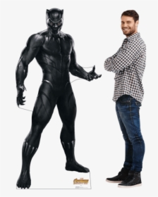 Picture 1 Of - Black Panther Full Suit, HD Png Download, Transparent PNG