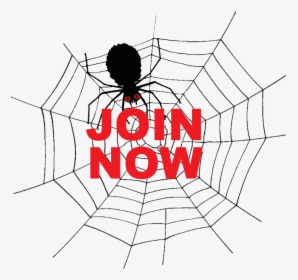 Button6-join Now - Spider Web Clip Art, HD Png Download, Transparent PNG