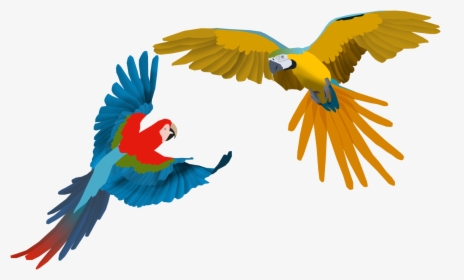 Flying Macaw Png, Transparent Png, Transparent PNG