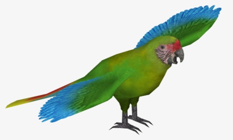 Zt2 Download Library Macaw, HD Png Download, Transparent PNG