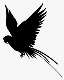 Flying Macaw Png Transparent Images - Flying Parrot Silhouette, Png Download, Transparent PNG