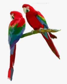 Macaw,parrot,budgie - Scarlet Macaw Png, Transparent Png, Transparent PNG