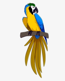Collection Of Free Drawing - Drawing Blue And Gold Macaw Clipart, HD Png Download, Transparent PNG