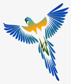 Laura S Adorable Macaw Parrots - Bird Tattoo Drawing, HD Png Download, Transparent PNG