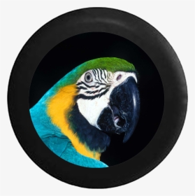 Spare Tire Cover Parrot Macaw Tropical Colorful Bird - Jungle Theme Makeup, HD Png Download, Transparent PNG