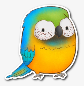 Blue Macaw Sticker - Budgie, HD Png Download, Transparent PNG