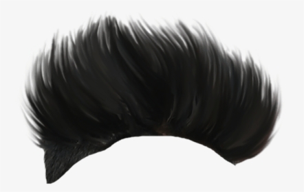 Hair Png Free Download - Hair Style PNG Image With Transparent Background |  TOPpng