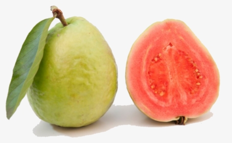Red Guava Png Transparent Image - Common Guava, Png Download, Transparent PNG