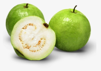 Indian Guava , Png Download - Allahabad Safeda Guava Variety, Transparent Png, Transparent PNG