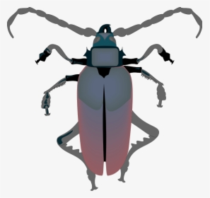 Insect 29 Free Vector - Vector Insect Hd, HD Png Download, Transparent PNG
