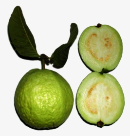 Green Guava Png Image - Green Fruit With White Seeds Inside, Transparent Png, Transparent PNG