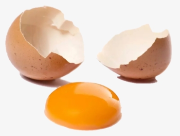 #yolk #brokenegg #broken #eggshell #eeg - Ovos Livres De Gaiola, HD Png Download, Transparent PNG