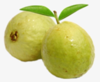 Guava Png Hd, Transparent Png, Transparent PNG