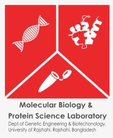 Molecular Biology And Protein Science Lab - Email Vector Icon Png, Transparent Png, Transparent PNG