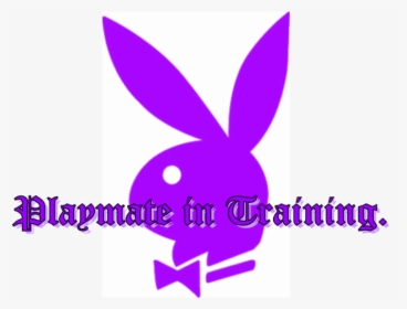 Playboy Bunny Playmate - Play Boy, HD Png Download, Transparent PNG
