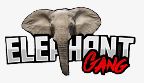 Elephant Ganglogo Square - Indian Elephant, HD Png Download, Transparent PNG