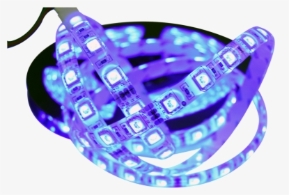 Bracelet, HD Png Download, Transparent PNG