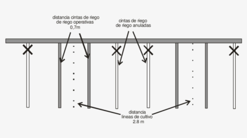 Distancia Riego Por Goteo, HD Png Download, Transparent PNG