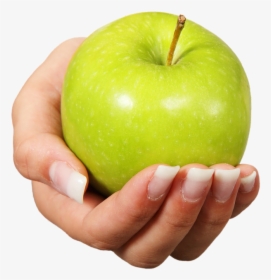 Apple, Fruit, Healthy, Hand, Offer, Grannysmith - Apple In Hand, HD Png Download, Transparent PNG