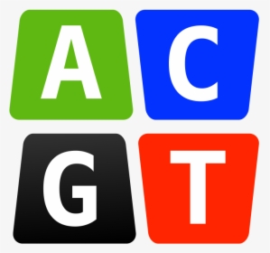 Transparent Gender Icon Png - Acgt, Png Download, Transparent PNG