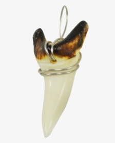 Shark Teeth Burnt Silver Wired - Ice Cream, HD Png Download, Transparent PNG