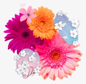 Flower, Overlay, And Png Image - Gerberas Png, Transparent Png, Transparent PNG