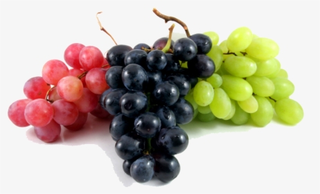 Fruits For Winter Season In India, HD Png Download, Transparent PNG