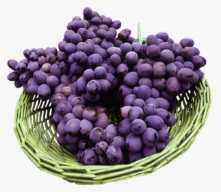 Corbeille De Raisin - Organic Compounds In Grapes, HD Png Download, Transparent PNG