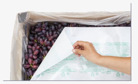 Uvasys Emailing I2 - Seedless Fruit, HD Png Download, Transparent PNG