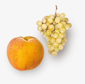 Transparent Uvas Png - White Muscat Grapes, Png Download, Transparent PNG
