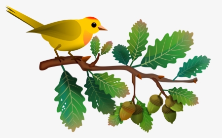 Transparent Tree Limb Png - Bird In Tree Clipart, Png Download, Transparent PNG